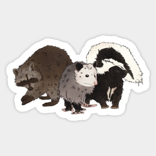 Street Cat Trio Sticker